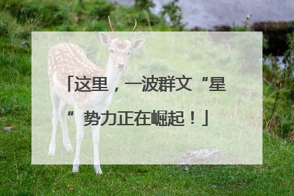 这里，一波群文“星”势力正在崛起！