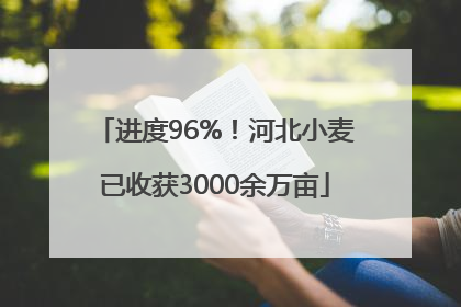 进度96%！河北小麦已收获3000余万亩