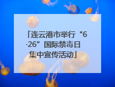 连云港市举行“6·26”国际禁毒日集中宣传活动