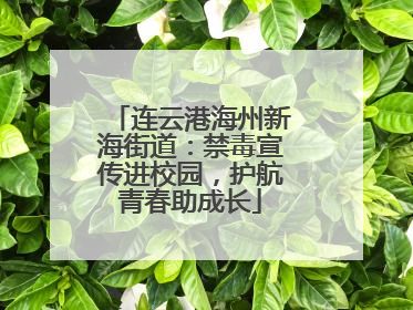 连云港海州新海街道：禁毒宣传进校园，护航青春助成长