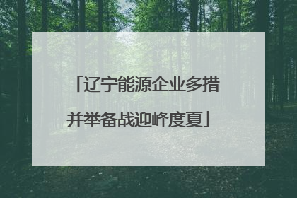 辽宁能源企业多措并举备战迎峰度夏