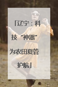 辽宁：科技“神器”为农田夏管护航