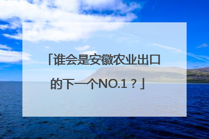 谁会是安徽农业出口的下一个NO.1？