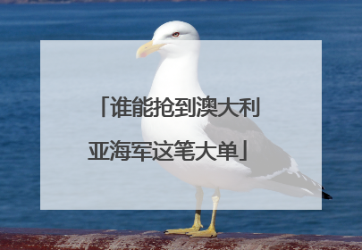 谁能抢到澳大利亚海军这笔大单