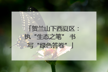 贺兰山下西夏区：执“生态之笔” 书写“绿色答卷”