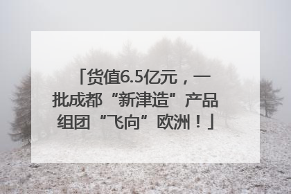 货值6.5亿元，一批成都“新津造”产品组团“飞向”欧洲！