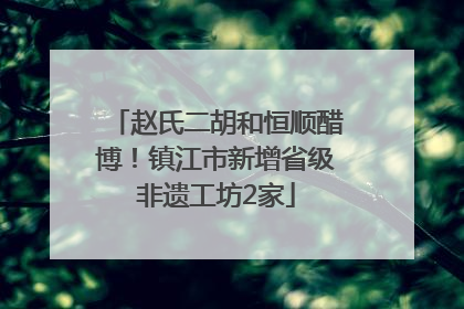 赵氏二胡和恒顺醋博！镇江市新增省级非遗工坊2家
