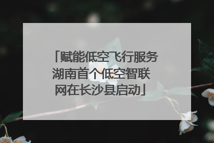 赋能低空飞行服务 湖南首个低空智联网在长沙县启动