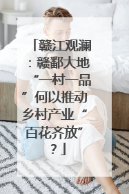 赣江观澜：赣鄱大地“一村一品”何以推动乡村产业“百花齐放”？