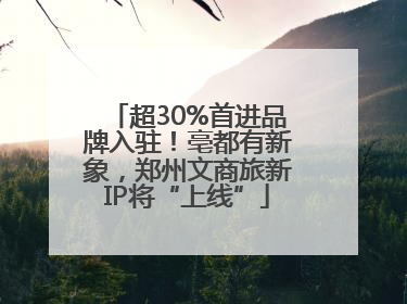 超30%首进品牌入驻！亳都有新象，郑州文商旅新IP将“上线”