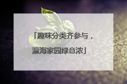趣味分类齐参与，瀛海家园绿意浓