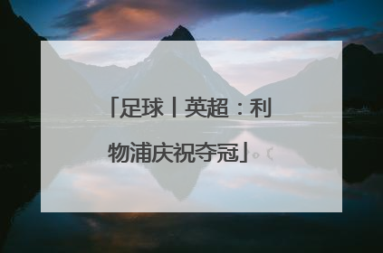 足球丨英超：利物浦庆祝夺冠