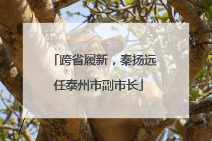 跨省履新，秦扬远任泰州市副市长
