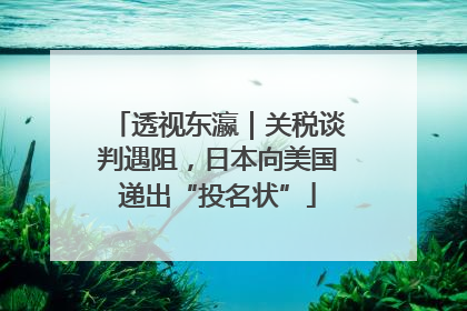 透视东瀛｜关税谈判遇阻，日本向美国递出“投名状”