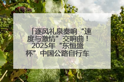 逐风礼泉奏响“速度与激情”交响曲！2025年“东恒盛杯”中国公路自行车联赛第五站（陕西·礼泉站）正式开赛
