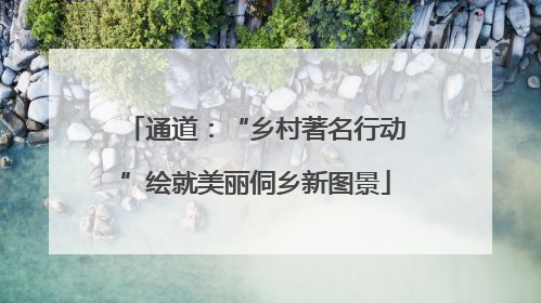 通道：“乡村著名行动”绘就美丽侗乡新图景