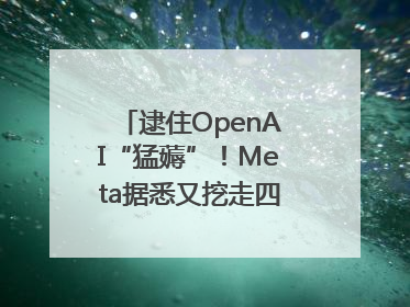 逮住OpenAI“猛薅”！Meta据悉又挖走四位知名研究人员