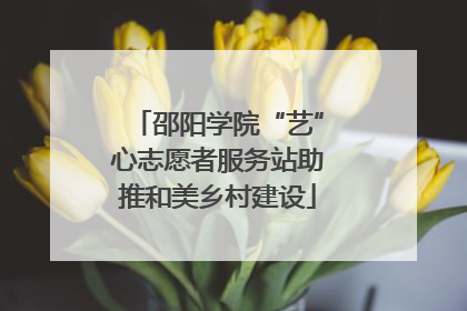邵阳学院“艺”心志愿者服务站助推和美乡村建设