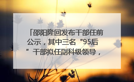 邵阳隆回发布干部任前公示，其中三名“95后”干部拟任副科级领导，均系硕士选调生