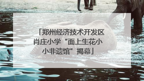 郑州经济技术开发区肖庄小学“面上生花小小非遗馆”揭幕