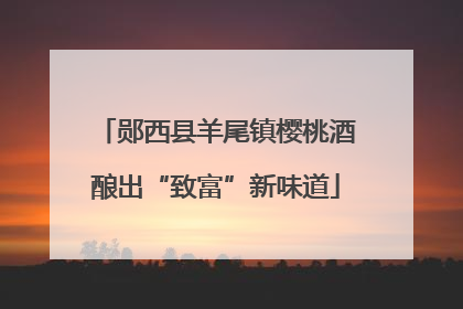郧西县羊尾镇樱桃酒酿出“致富”新味道