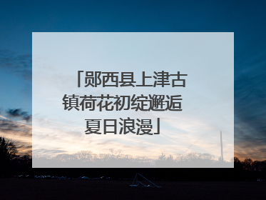 郧西县上津古镇荷花初绽邂逅夏日浪漫