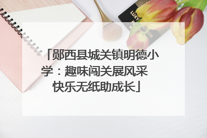 郧西县城关镇明德小学：趣味闯关展风采 快乐无纸助成长