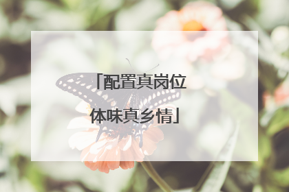 配置真岗位 体味真乡情