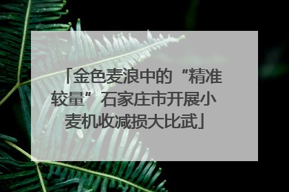金色麦浪中的“精准较量”石家庄市开展小麦机收减损大比武
