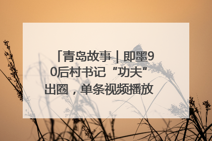 青岛故事｜即墨90后村书记“功夫”出圈，单条视频播放量过600万