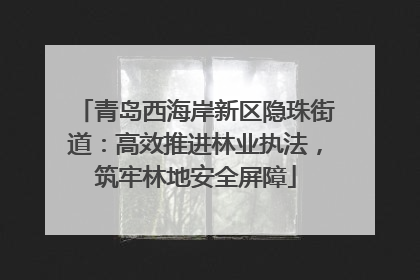 青岛西海岸新区隐珠街道：高效推进林业执法，筑牢林地安全屏障