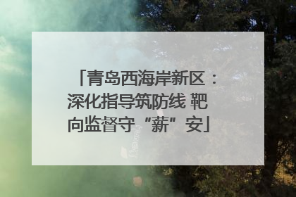 青岛西海岸新区：深化指导筑防线 靶向监督守“薪”安