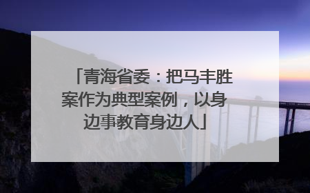 青海省委：把马丰胜案作为典型案例，以身边事教育身边人
