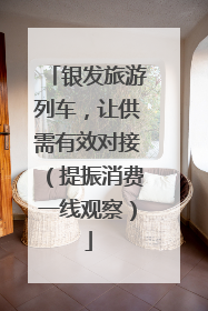 银发旅游列车，让供需有效对接（提振消费一线观察）