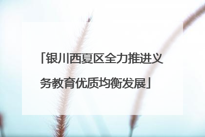 银川西夏区全力推进义务教育优质均衡发展
