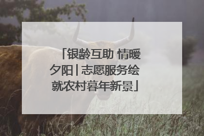 银龄互助 情暖夕阳│志愿服务绘就农村暮年新景