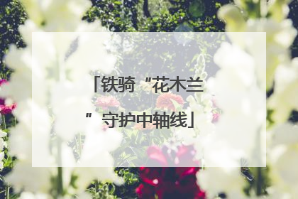 铁骑“花木兰”守护中轴线