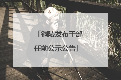 铜陵发布干部任前公示公告