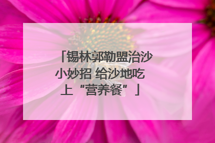 锡林郭勒盟治沙小妙招 给沙地吃上“营养餐”