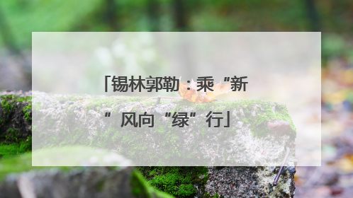 锡林郭勒：乘“新”风向“绿”行