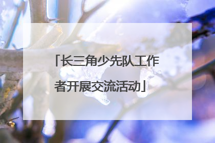 长三角少先队工作者开展交流活动