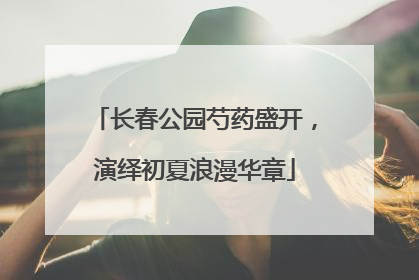 长春公园芍药盛开，演绎初夏浪漫华章