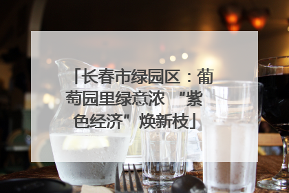 长春市绿园区：葡萄园里绿意浓 “紫色经济”焕新枝
