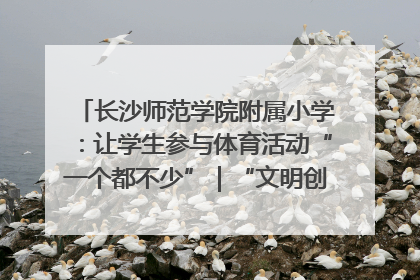 长沙师范学院附属小学：让学生参与体育活动“一个都不少”｜“文明创建耀三湘”专栏