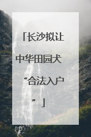 长沙拟让中华田园犬“合法入户”