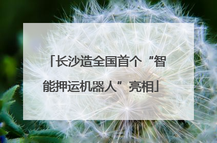 长沙造全国首个“智能押运机器人”亮相