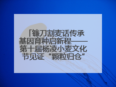 镰刀割麦话传承 基因育种启新程——第十届杨凌小麦文化节见证“颗粒归仓”时空跨越