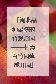 闽北品种最多的竹观赏园——杜潭百竹园建成开园