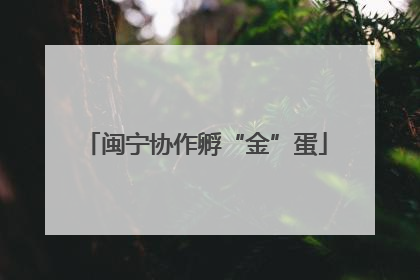 闽宁协作孵“金”蛋