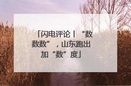 闪电评论丨“数数数”，山东跑出加“数”度